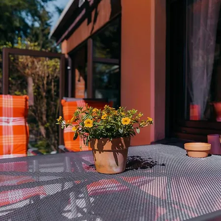 Nachtigall Сasa de vacaciones *